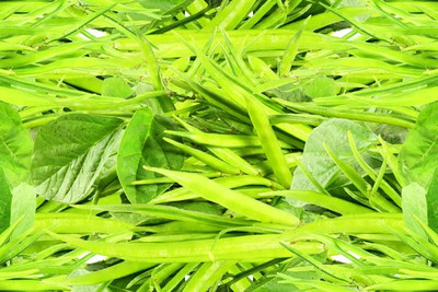 XOLDAA CLUSTER BEANS SEEDS Seed(31 per packet)