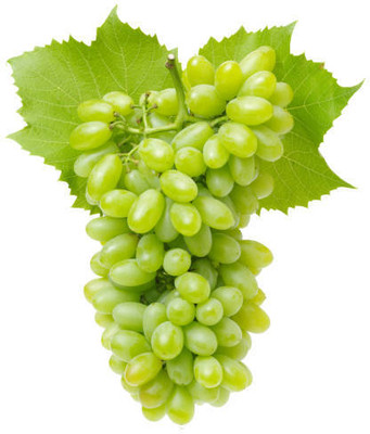 PASCLE GRAPE SEEDS Seed(50 per packet)