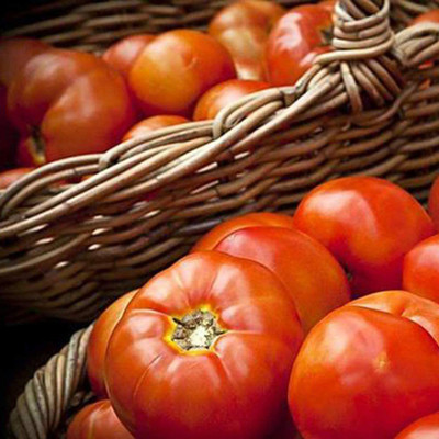 CYBEXIS Awesome Tomato Seeds2000 Seeds Seed(2000 per packet)