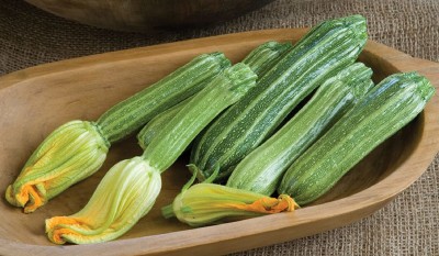 VibeX NDIR-51 - Zucchini Costata Romanesco - (75 Seeds) Seed(75 per packet)