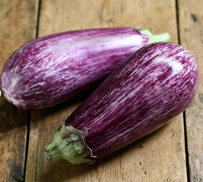 UGRA Brinjal Seed(2000 per packet)