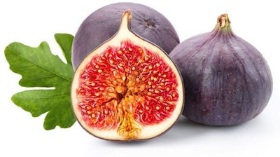 CARIBBEAN IMPORTED HYBRID FIG ANJEER FRUIT Seed(80 per packet)
