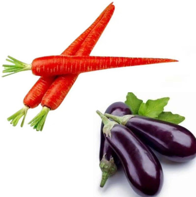 Garden Basket Hubb Gajar Begun pack of 2 Seed(100 g)