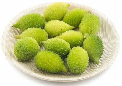 the green dotcom dioica seeds/kantola seeds 11 Seed(11 per packet)