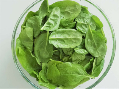 Qualtivate Fresh Green Spinach (Palak) Vegetable Hybrid Quality Seed(100 per packet)