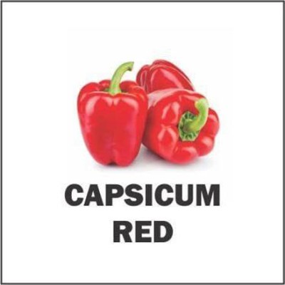 CYBEXIS XLL-35 - CAPSICUM Big Red Chili Pepper - (450 Seeds) Seed(450 per packet)