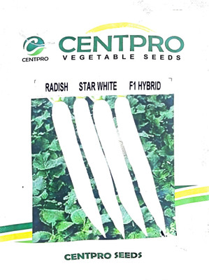 KRASHAK White Radish Mooli Seed(1 per packet)