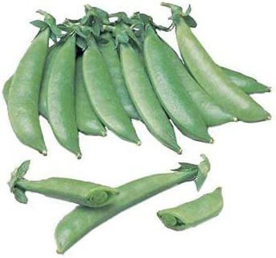 VibeX ® VXI-504 Pea Seeds - Sugar Sprint Seed(50 per packet)