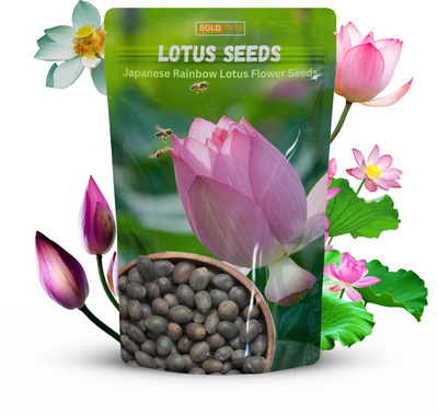 Bold Byte Lotus Seeds for Planting, Bonsai Lotus Seed Seed(10 per packet)