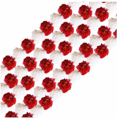 XOLDA Exotic marigold red Seed(39 per packet)
