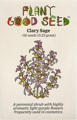 VibeX PAU-28 - Clary Sage - (450 Seeds) Seed(450 per packet)