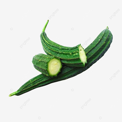 Paudhaa FI QUALITY RIDGE GOURD Seed(17 per packet)