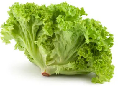 Flipkart SmartBuy Lettuce Curly Seed(30 per packet)