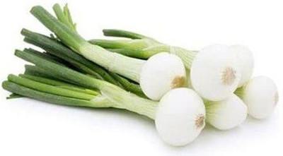 WILLVINE GUA-950 Desi Spring Onion Hari Pyaj Seed Seed(1000 per packet)