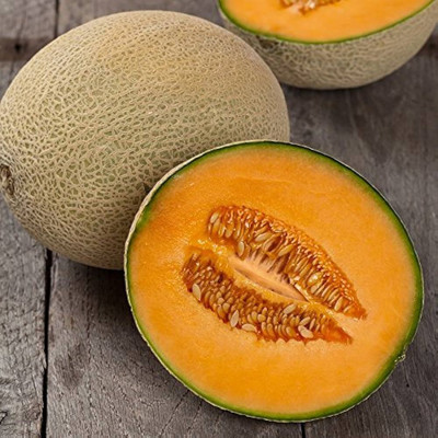 BDSresolve Muskmelon seeds for planting PACK OF 95 Seed(95 per packet)
