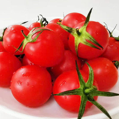 VRAKSHA Organic orange red cherry tomatoes Seed(2000 per packet)