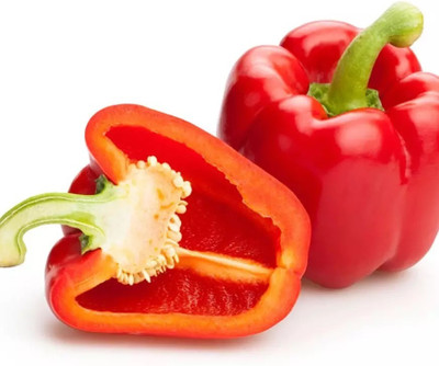 Quentova Capsicum Red Bell Pepper-5I-PALLAV Seed(50 per packet)