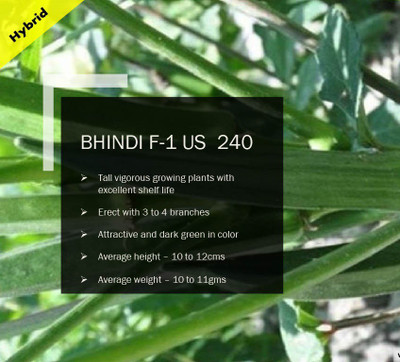 CYBEXIS BHINDI Seed(200 per packet)