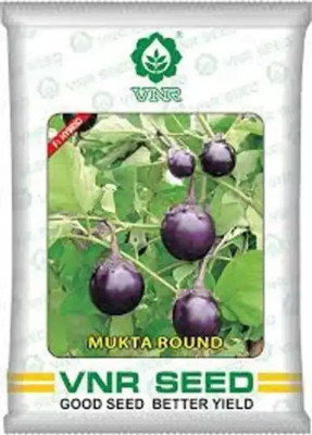 the green dotcom vnr MUKTAROUND hybrid brinjal Seed (10 g) Seed(20 per packet)