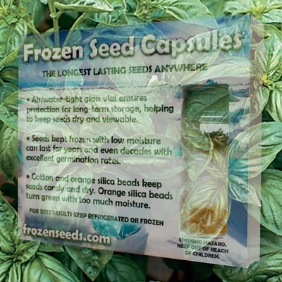 KNESSiN Genovese Basil (Ocimum basilicum) in FROZEN CAPSULES[400 Seeds] Seed(400 per packet)