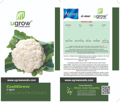 Clint SNOWCAP DELIGHT: PREMIUM WHITE CAULIFLOWER Seed(40 per packet)