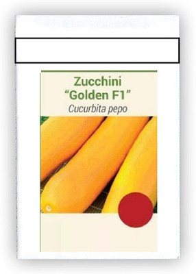 CYBEXIS F1 Hybrid Zucchini Golden F1 Seeds100 Seeds Seed(100 per packet)