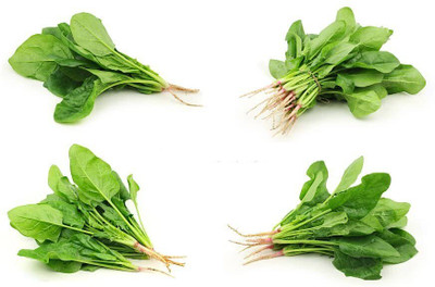Aywal High Quality Spinach/Palak Vegetables Seed(300 per packet)
