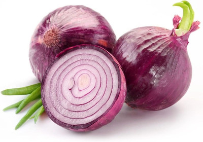 WILLVINE KGF -II Red Grano Onion Seeds [25g] Seed(15000 per packet)