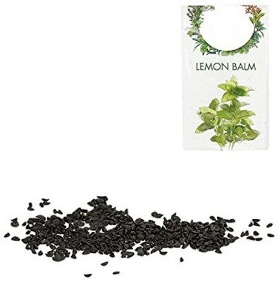 KNESSiN Lemon Balm Seed(50 per packet)