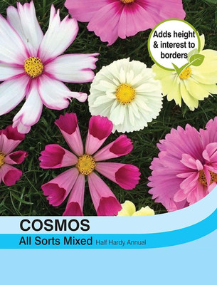 CYBEXIS Flowers - Cosmos All Sorts Mixed Seed(1 g)