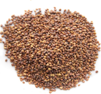Qualtivate HYB-4A Rainbow Radish Sprouting Mix Seed(300 per packet)