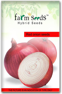WILLVINE NDRI-1241 Hybrid Red Onion Seeds-1500 Seeds Seed(1500 per packet)