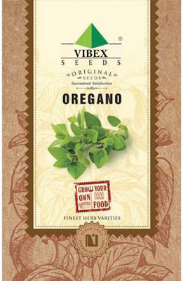 WILLVINE Oregano Herb Seeds Seed(10000 per packet)