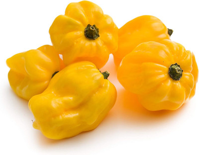 Biosnyg Hybrid Hot Habanero Lemon Pepper Seeds For Kitchen Gardening-(2000 Seeds) Seed(2000 per packet)