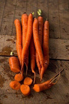 VibeX ® LXI-417 Sugarsnax F1 Hybrid Carrot Seeds Seed(500 per packet)