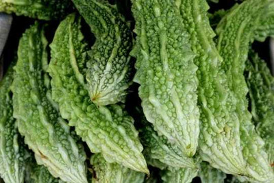 Paudhaa F1 BEST QUALITY BITTER GOURD SEEDS Seed(17 per packet)