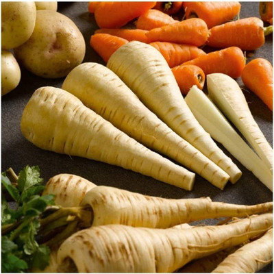 CYBEXIS Parsnip - Tender and True Seeds-250 Seeds Seed(250 per packet)