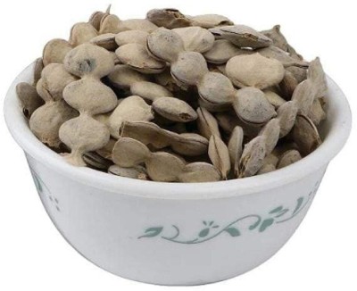 Elysian Enterprises Babool Phali - Acacia Pods - Kikar Fali - Acacia Nilotica Seed(100 g)