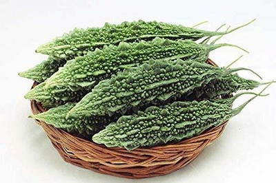 Qualtivate EXL-4AT (Hybrid) Bitter Gourd (Karela) seed Seed(50 per packet)