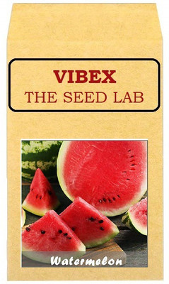 CYBEXIS Heirloom Watermelon Hybrid 400 Seeds Seed(400 per packet)