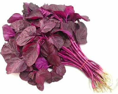 Qualtivate AXL-1AT Red Amaranth Spinach JABAKUSUM Lal Shak Seed(300 per packet)