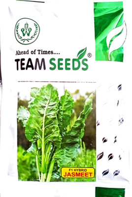 KRASHAK HYBRID SPINACH SEED, SPINACH, MULTICUT SPINACH Seed(1 per packet)