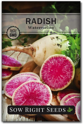 Qualtivate ICRA-7A Watermelon Radish Seeds Seed(300 per packet)