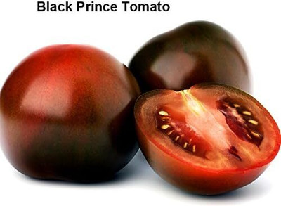 KNESSiN Open-Pollinated Black Prince Tomato Seeds for Terrace Gardening - (2000 Seeds) Seed(2000 per packet)