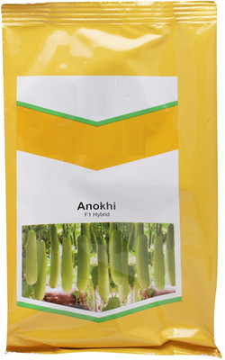 VibeX F1 Hybrid Mahima Bottle Gourd-(200 Gms, 1000 Seeds) Seed(1000 per packet)