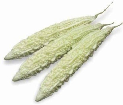 VibeX VVI-55 - WHITE BITTER GOURD - (300 Seeds) Seed(300 per packet)