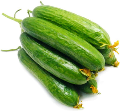 CYBEXIS Home Garden Plant Delicious Green Cucumber Seeds2000 Seeds Seed(2000 per packet)