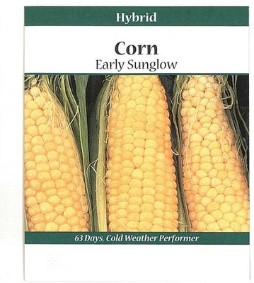 Qualtivate HUA-3A Early Sunglow Hybrid Corn Garden Seeds Seed(400 per packet)