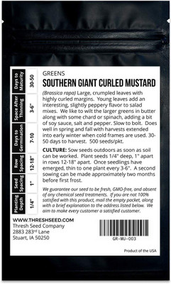 CYBEXIS NDIR-68 - Southern Giant Curled Mustard - (250 Seeds) Seed(250 per packet)