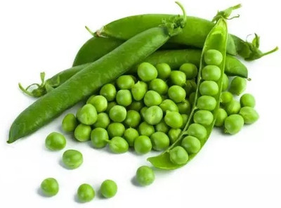 Quentova Peas Seeds (Matar) (मटर के बीज)-XII-22P Seed(50 per packet)